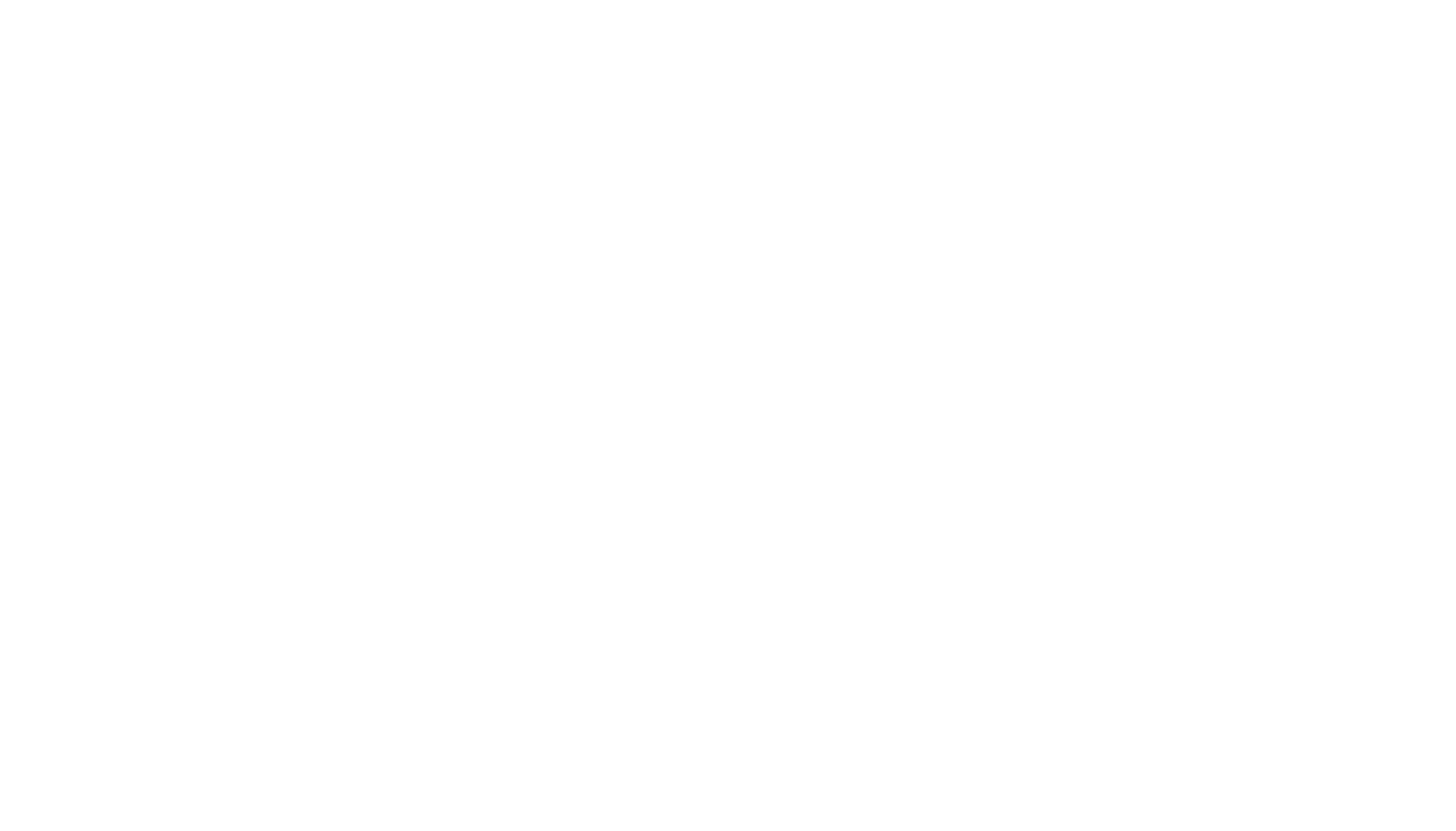 HANGAR CONSULTING GROUP